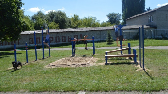 Сдачу норм ГТО в 2018 году запланировали 33 тыс воронежцев