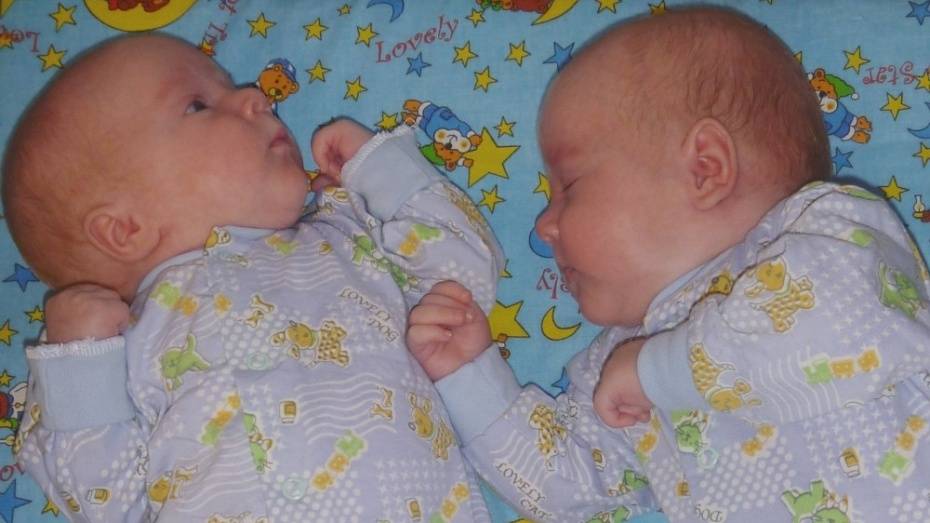 В Воронежской области стали чаще рождаться двойни и тройни