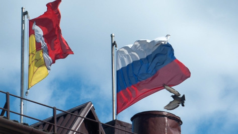 Число считающих Россию демократической страной воронежцев упало на 15%