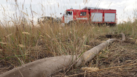 Желтый уровень погодной опасности продлили в Воронежской области из-за риска пожаров