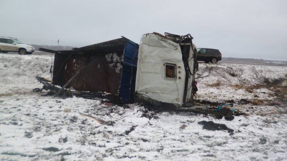 В Воронежской области КамАЗ вылетел в кювет: погиб 62-летний водитель