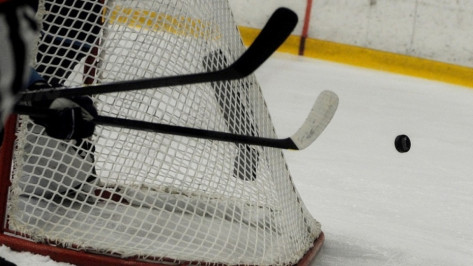 Хоккейная «Россошь» переиграла пензенский «Дизелист»