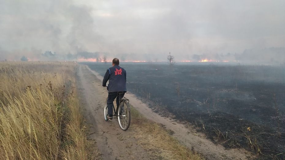 МЧС предупредило воронежцев о повышающихся рисках ландшафтных пожаров