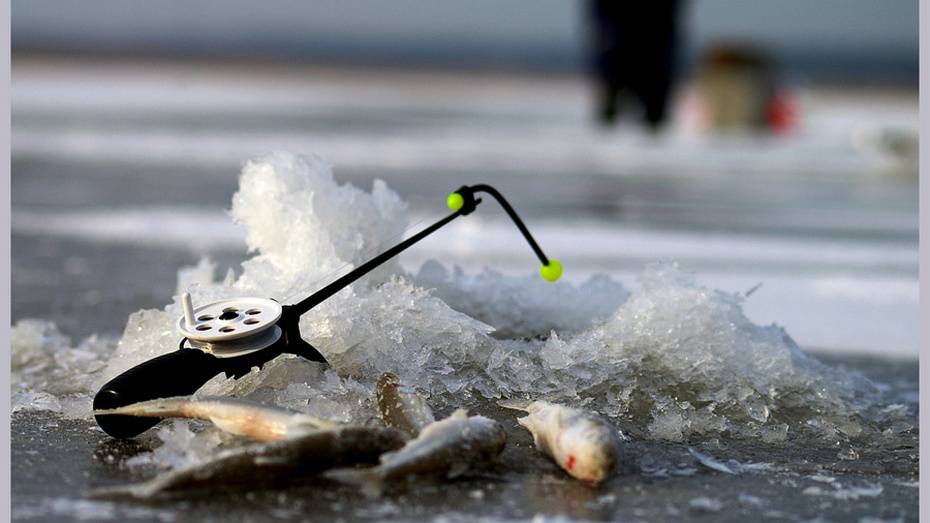 Турнир по зимней рыбалке впервые пройдет в Эртильском районе
