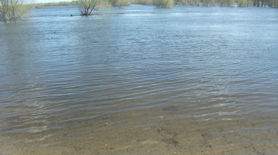 В Грибановском районе мост через реку Ворона ушел под воду