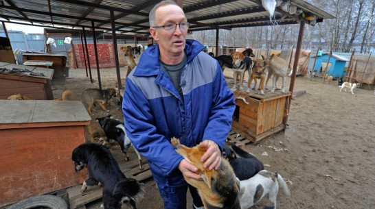 Воронежский зоозащитник о съемках в «Пусть говорят»: «Хотел уйти оттуда!»