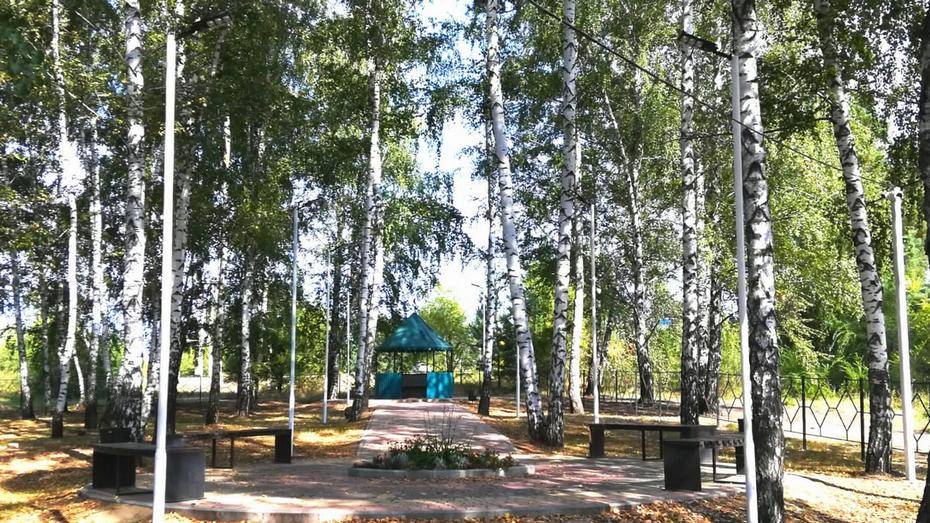 В парке острогожского села Солдатское установили фонари на солнечных батареях