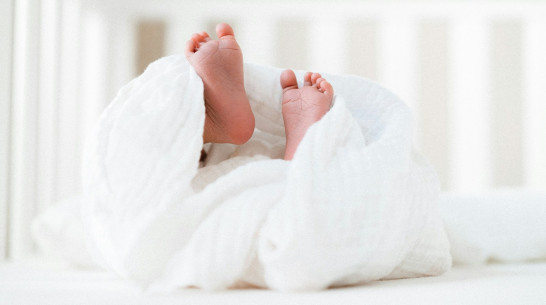 Почти 59 тыс сертификатов на маткапитал выдали проактивно в Воронежской области