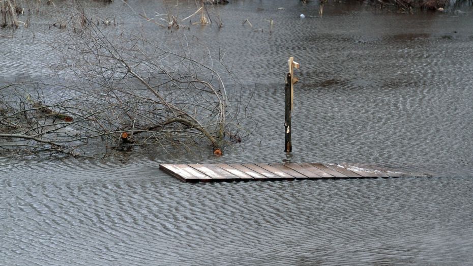 В Воронежской области остаются затопленными 7 низководных мостов