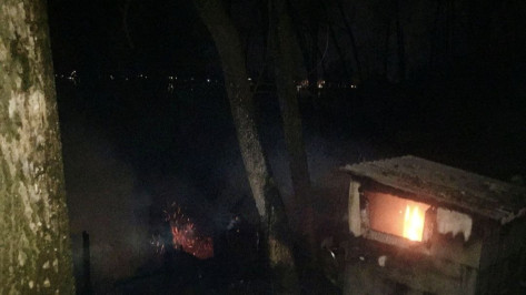 Четыре дачи сгорели в воронежском поселке Рыбачий вечером 7 апреля