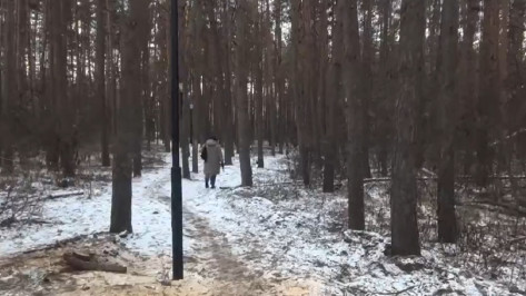 КСП Воронежа выявила недочеты после благоустройства парка имени Северцова