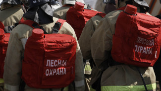 Чрезвычайную пожароопасность 5 класса установили в 5 южных районах Воронежской области