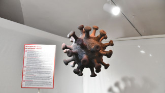 Очаги коронавируса зафиксировали в двух воронежских учреждениях