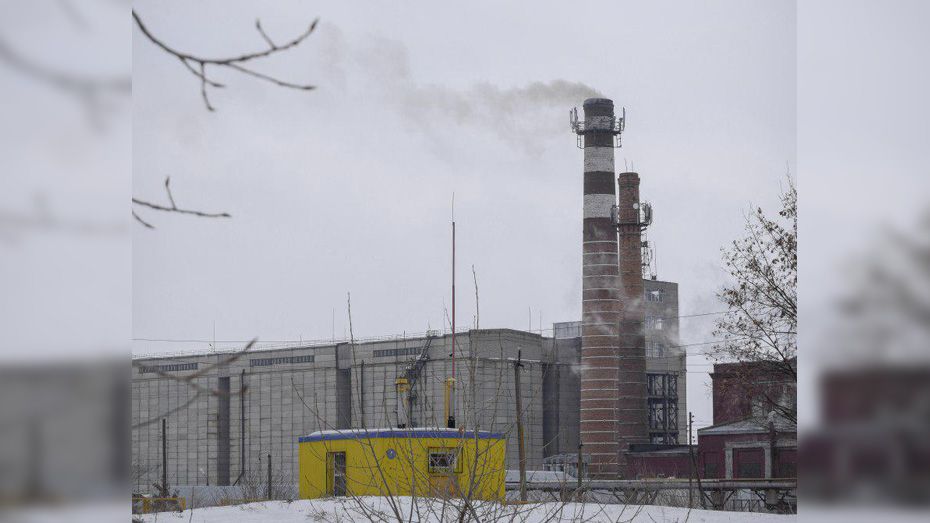 Роспотребнадзор Воронежской области установил причину выброса шелухи на заводе в Лисках