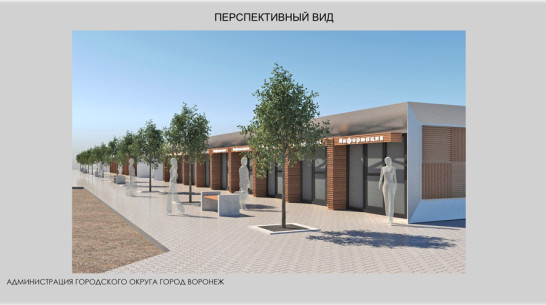 Мэрия Воронежа запустила голосование о судьбе ярмарки на Димитрова