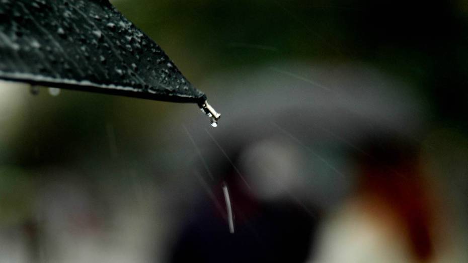 Синоптики предсказали дожди и ночное похолодание в Воронеже в первые выходные апреля