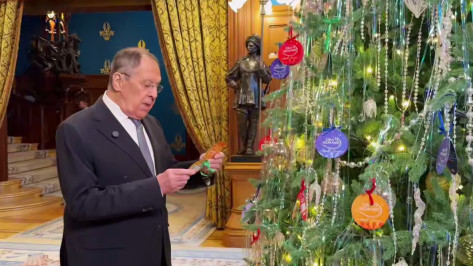 Министр иностранных дел организует девочке из Воронежа встречу с Владимиром Мединским