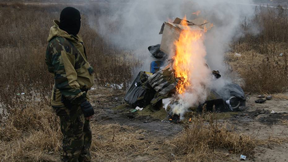 Воронежские наркополицейские уничтожили 32 кг наркотиков