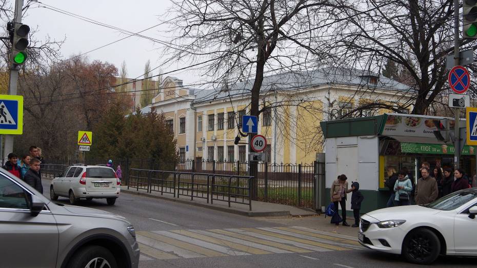 Воронежское областное родительское собрание посвятят безопасности детей на дорогах