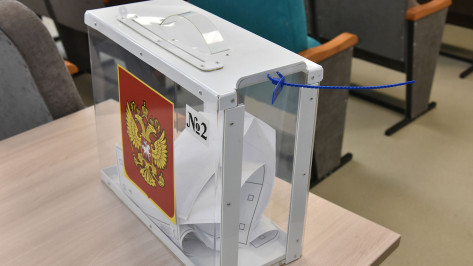 Воронежский облизбирком разъяснил правила проведения референдума о вхождении в состав РФ