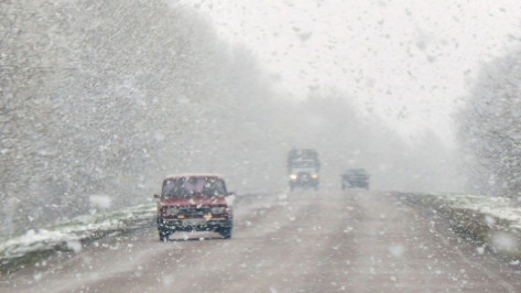 Метеорологи спрогнозировали метель в Воронежской области в ночь на 6 февраля