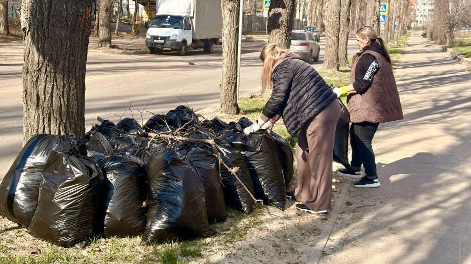 В Железнодорожном районе Воронежа убрали 240 кубометров мусора и сухой листвы