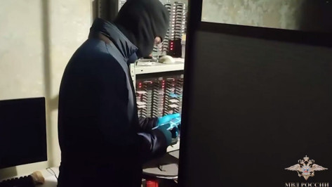 В Воронежской области задержали мошенников благодаря международной полицейской операции