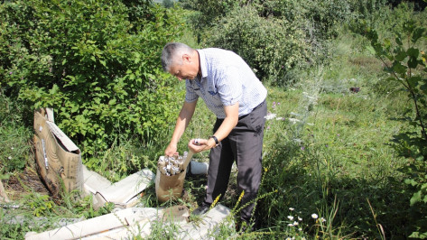 В Воронежской области неизвестные выбросили более 1 тыс люминесцентных ламп в яблоневом саду