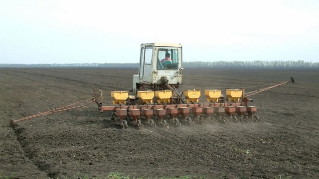 В Воронежской области сев яровых затянулся из-за обильных дождей