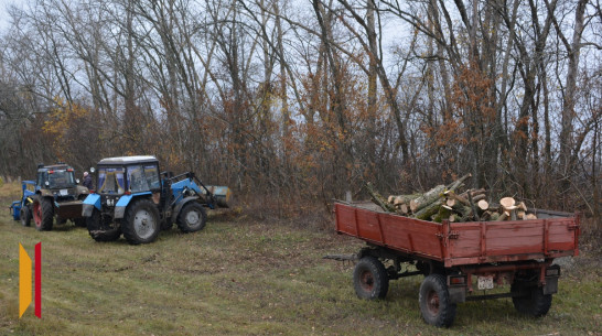 В Воробьевском районе заготовили дрова для участников СВО и их семей