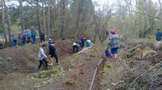 В Петропавловском районе 7 ТОСов получат гранты на благоустройство кладбищ