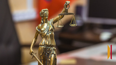 В Воронежской области женщину обвиняют в мошенничестве с материнским капиталом на 775 тыс рублей