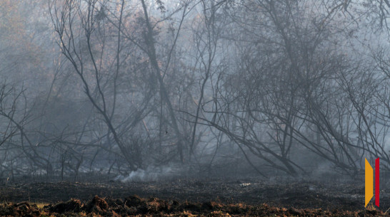 В Воронежской области объявили штормовое предупреждение из-за чрезвычайной пожарной опасности