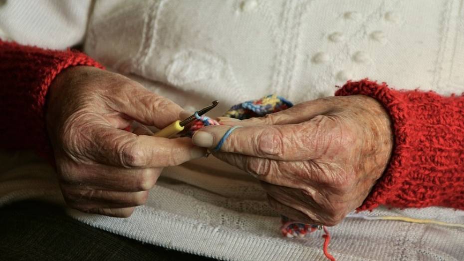 В Воронеже объявили сбор новогодних подарков для одиноких стариков
