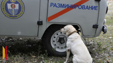 Воронежцы сообщили о подозрительном предмете в Коминтерновском районе