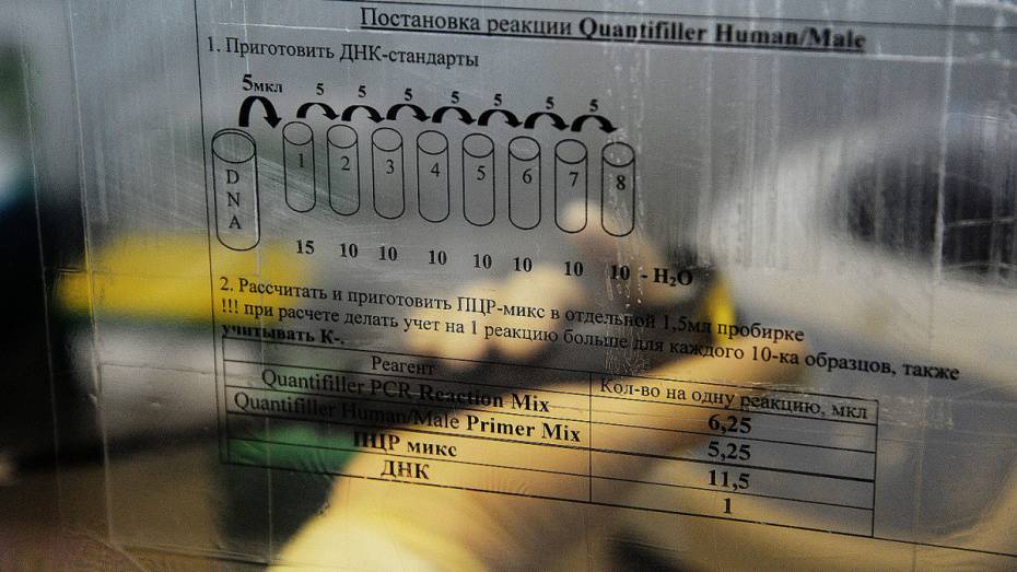 В Воронежской области мужчина подал на мать ребенка в суд ради ДНК-теста