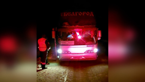 Воронежские полицейские выручили 20 пассажиров заглохшего рейсового автобуса