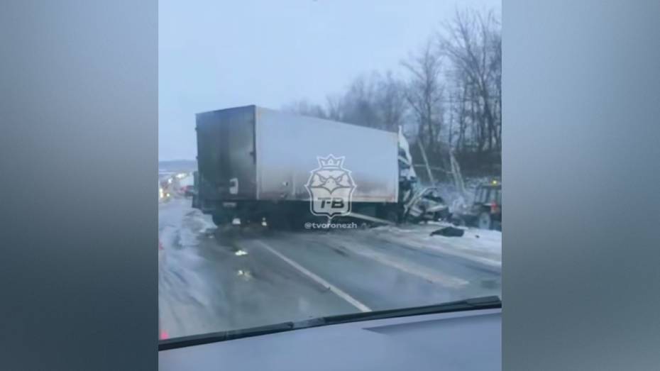 В лобовом столкновении микроавтобуса и грузовика погиб мужчина