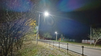 В россошанском селе Архиповка дополнительно установили 20 фонарей на центральной улице