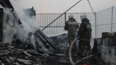 Пожарные ликвидировали 2 крупных лесных пожара под Воронежем