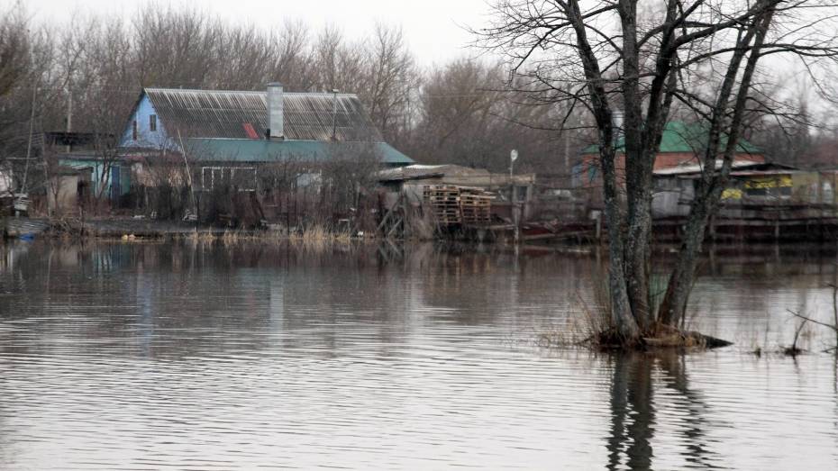 Синоптики дали прогноз на половодье в Воронежской области