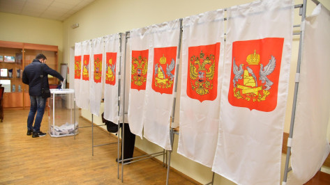«Мы обрабатываем все обращения»: руководитель штаба общественного наблюдения – о голосовании в Воронежской области