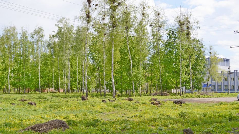 В Терновке на благоустройство парка выделят 10 млн рублей