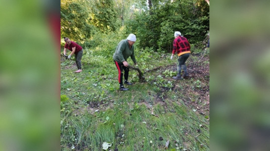 Панинские активисты благоустроили яблоневый школьный сад в поселке Тойда
