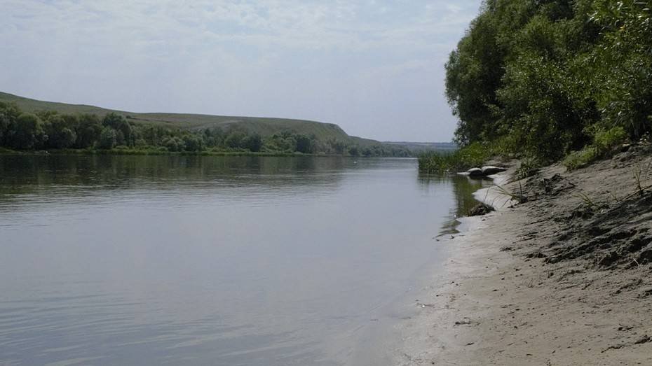 В Воронежской области в реке Дон утонул 65-летний мужчина