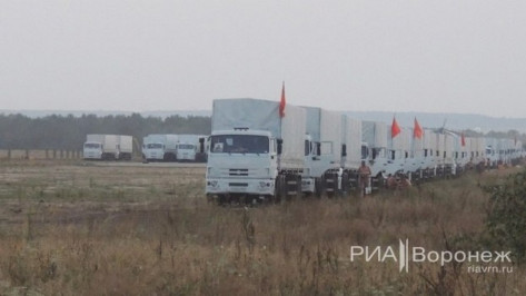 Очередной гуманитарный конвой заночует в Воронеже