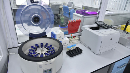 Академик РАН: у 20% переболевших коронавирусом стали выпадать волосы