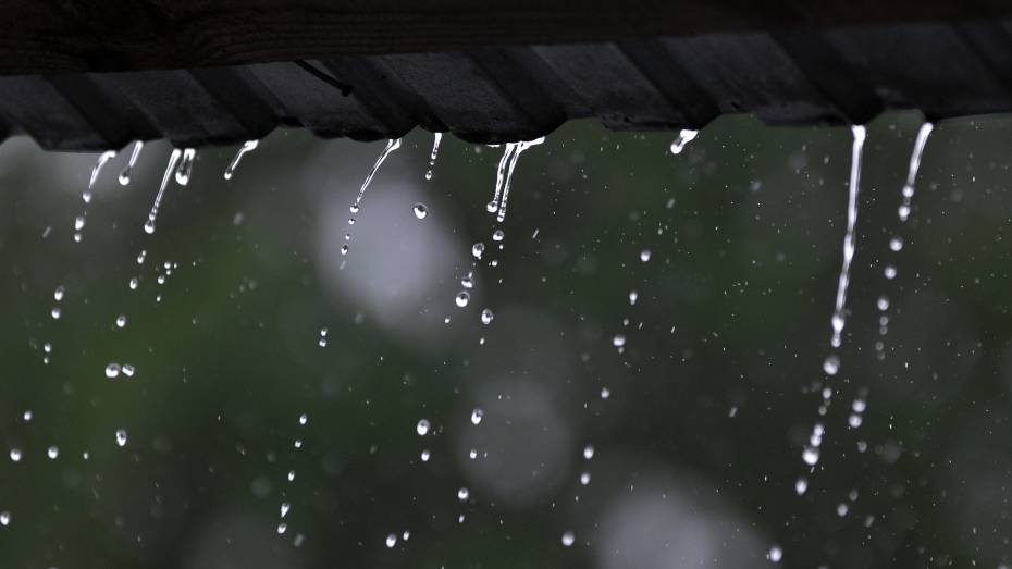 Дожди и грозы задержатся в Воронеже в первые июльские выходные