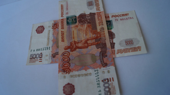 Прожиточный минимум за II квартал 2019 года в Воронежской области вырос 