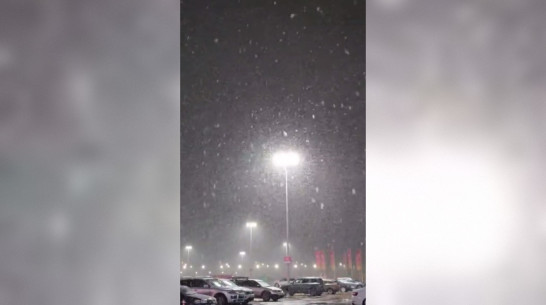 Первый снег в Воронеже сняли на видео